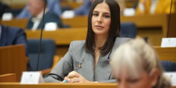 Vukomanović: Kako se zove osoba koja nema nijednu funkciju, a sve ih obavlja?