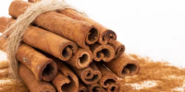 Kako cimet utiče na naše zdravlje i koje su njegove dobrobiti?