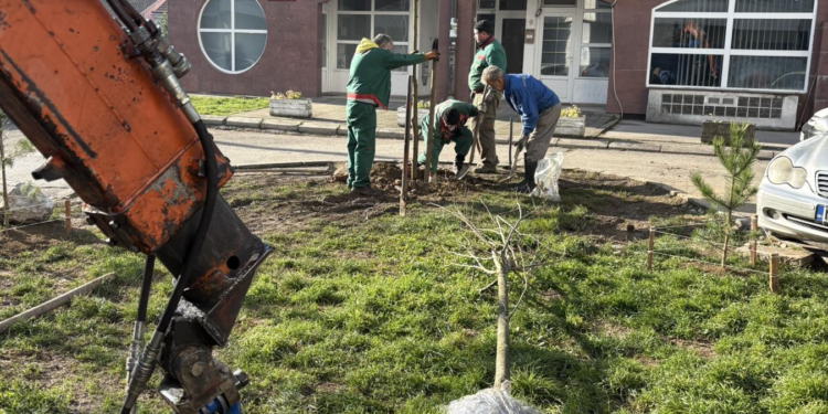 Nastavljena sadnja: Novim sadnicima obogaćeno više od 20 lokacija u gradu