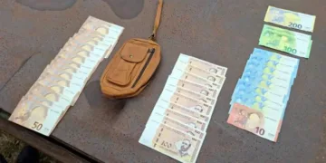 Uhapšen trojac iz Laktaša, vlasnike oštetili za 57.000 maraka