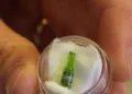 Napravljena najmanja flaša bezalkoholnog piva, sadrži jednu kap (VIDEO)