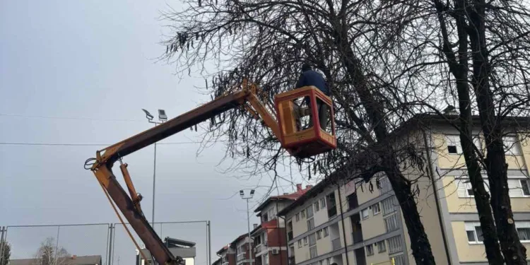 Redovne aktivnosti: U toku orezivanje stabala na nekoliko lokacija u gradu