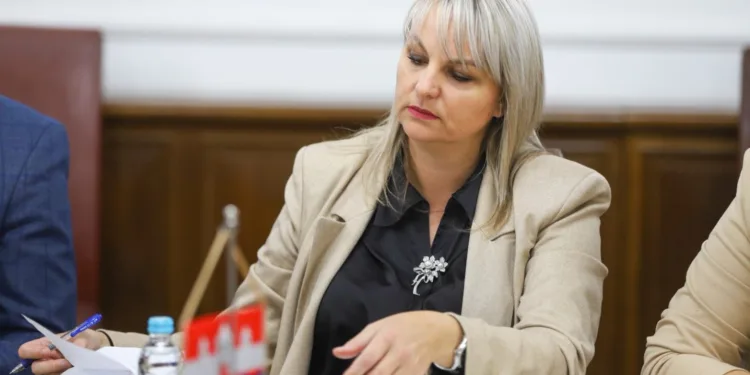Gradski menadžer: Čim vremenski uslovi dozvole, pristupićemo sanaciji saobraćajnica i nastavku brojnih važnih projekata