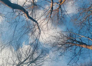 Vremenska prognoza za ponedjeljak