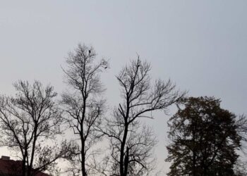 U srijedu oblačno sa slabim padavinama