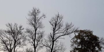 U srijedu oblačno sa slabim padavinama