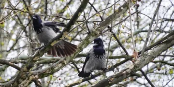 U utorak pretežno oblačno i toplije