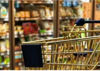 I dalje ništa novo: Prosječna plata pokriva pola potrošačke korpe