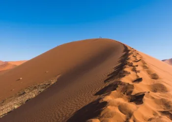 Zrno koje nedostaje – žive u pustinji, a uvoze pijesak