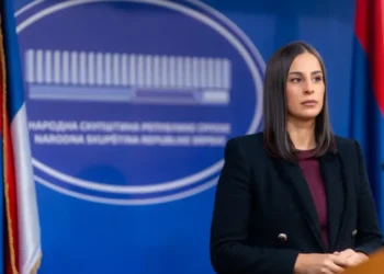 Vukomanović: Nacionalna penzija za majke četvoro ili više djece