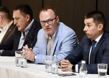 Denis Šulić našao novi posao