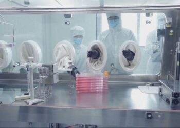 Kineski naučnici blizu nove terapije za dijabetes