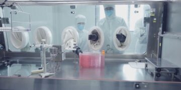 Kineski naučnici blizu nove terapije za dijabetes