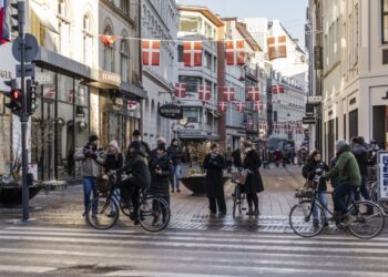 Danci biraju novi parlament
