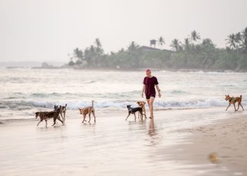 Kako prebroditi svakodnevni stres pametnim izborom hobija