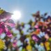 Danas pretežno sunčano i toplo  uz razvoj oblačnosti, do 26°C