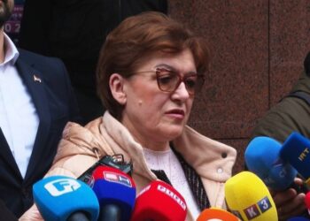 Vidović: Krnjić blokira otvaranje novog graničnog prelaza u Gradišci iz političkih razloga