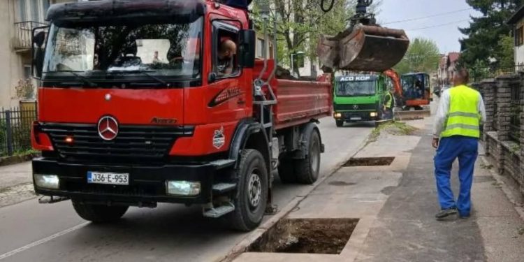 “Drvored u Ulici Milana Radmana nije srušen, nego je u toku priprema za novu sadnju”