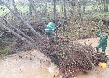 Nakon obilnih padavina i topljenja snijega: Nadležne službe aktivno rade na uklanjanju palih stabala iz potoka i rijeka