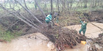 Nakon obilnih padavina i topljenja snijega: Nadležne službe aktivno rade na uklanjanju palih stabala iz potoka i rijeka