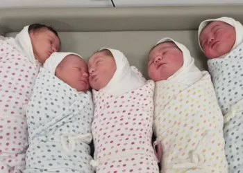 29 beba rođeno u Srpskoj, i to 17 djevojčica i 12 dječaka