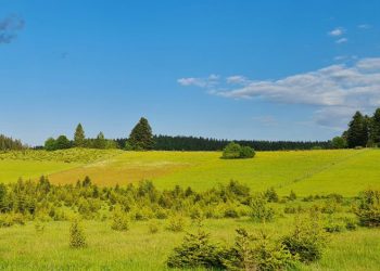 Početak ljeta i toplotni talas – maksimalna temperatura danas i do 37°C