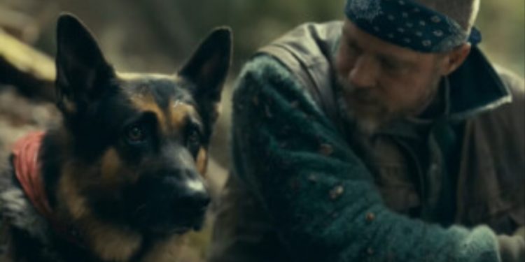 Novi film: Bred Pit i njemački ovčar se bore za opstanak u divljini Aljaske
