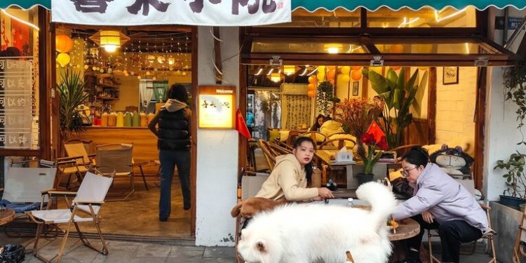 Aplikacija za iznajmljivanje pasa izaziva kontroverze, veterinari zabrinuti