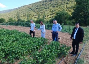 Lalić: Vlada će pomoći Nevesinje i Berkoviće u skladu sa mogućnostima