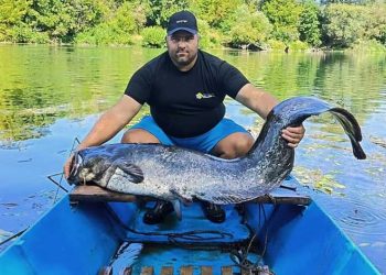 Ribolovac u Uni upecao soma teškog 42 kilograma
