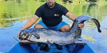 Ribolovac u Uni upecao soma teškog 42 kilograma