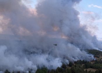 Na Žaračkoj planini i dalje gori više od 80 hektara borove šume, u Deliblatskoj peščari bolja situacija