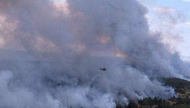 Na Žaračkoj planini i dalje gori više od 80 hektara borove šume, u Deliblatskoj peščari bolja situacija