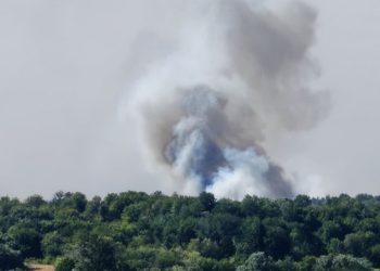 Požar u Deliblatskoj peščari aktivan u dužini od 60 kilometara