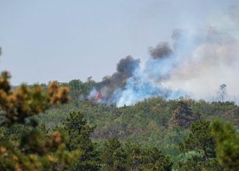 Na više lokacija u Srbiji nastavlja se borba sa požarima, najteže i dalje u Deliblatskoj peščari