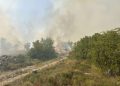 Stanje sa požarima kod Trebinja stabilno, ekipe i dalje dežuraju