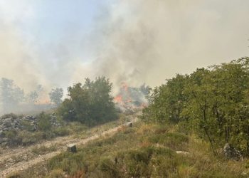 Stanje sa požarima kod Trebinja stabilno, ekipe i dalje dežuraju