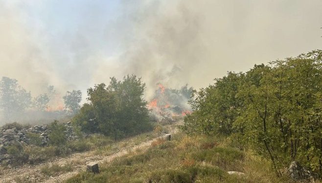 Stanje sa požarima kod Trebinja stabilno, ekipe i dalje dežuraju