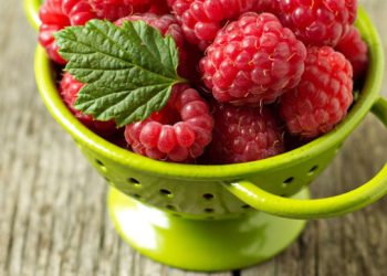 Crveno zlato: Zašto su maline nutritivni šampion i 10 prednosti koje imaju u odnosu na drugo voće