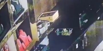 Potraga za lopovom: Nestao nakit vrijedan 10.000 evra, kamera pokazala da ga je iznio miš