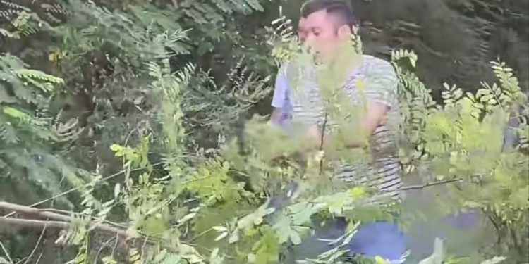 Kresojević sa mještanima orezivao grane oko elektro-mreže