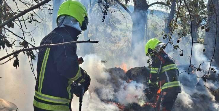Učestali požari niskog rastinja i šume: Apel da se ne pali vatra na otvorenom, ekipe na terenu na području Barlovaca