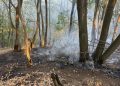 Aktivno više požara, najteža situacija na području Bileće