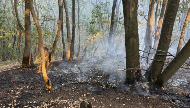 Aktivno više požara, najteža situacija na području Bileće