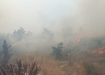 Lokalizovan požar kod Teslića – vatrogasci, šumari i mještani na terenu