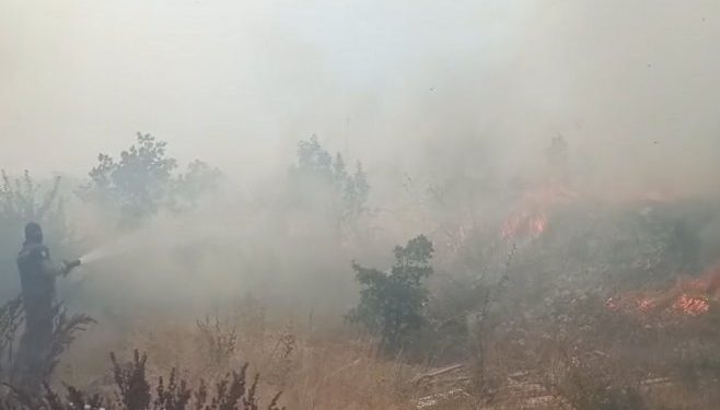 Lokalizovan požar kod Teslića – vatrogasci, šumari i mještani na terenu