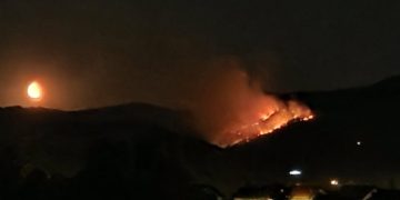 Šumski požar u banjalučkom naselju Vrbanja, vatrogasci na terenu