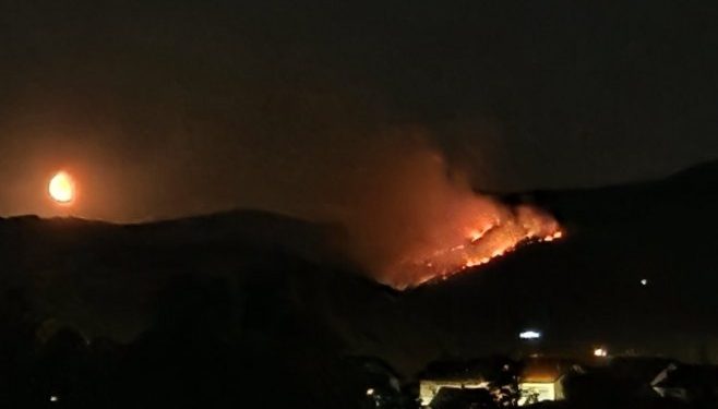 Šumski požar u banjalučkom naselju Vrbanja, vatrogasci na terenu