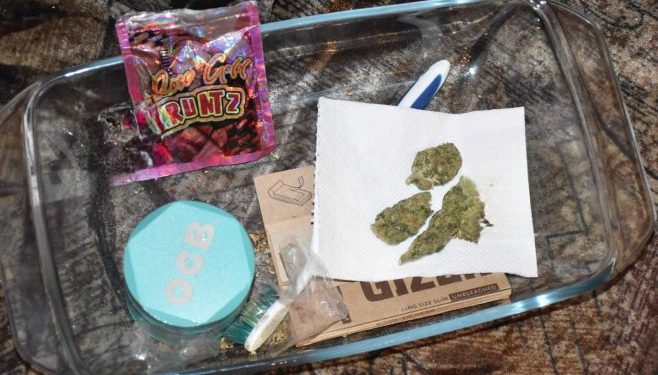 Akcija “Dementor” u Banjaluci: Oduzeta marihuana, amfetamin i ekstazi (FOTO)
