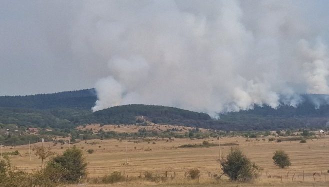 Vatrogasci iz Laktaša i Banjaluke vatrenu stihiju u Drvaru stavili pod kontrolu 